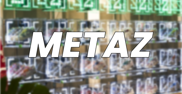 METAZ Monthly Update: A Strong End to 2024